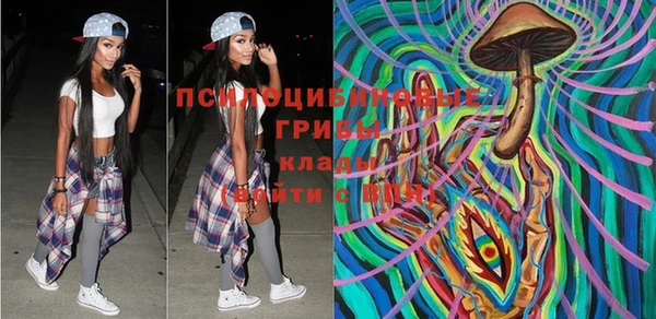 ПСИЛОЦИБИНОВЫЕ ГРИБЫ Няндома