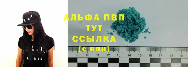 ПСИЛОЦИБИНОВЫЕ ГРИБЫ Няндома