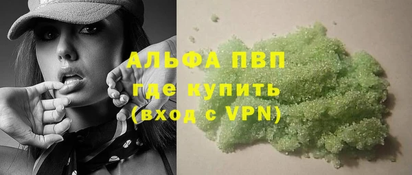 ПСИЛОЦИБИНОВЫЕ ГРИБЫ Няндома