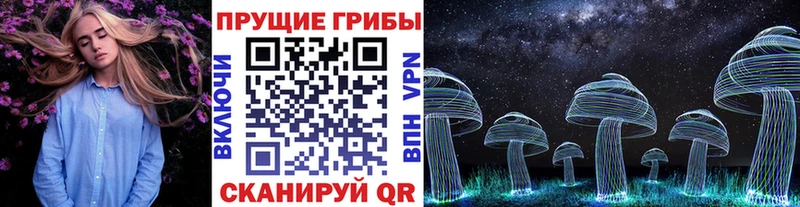 Галлюциногенные грибы мицелий  Козельск 